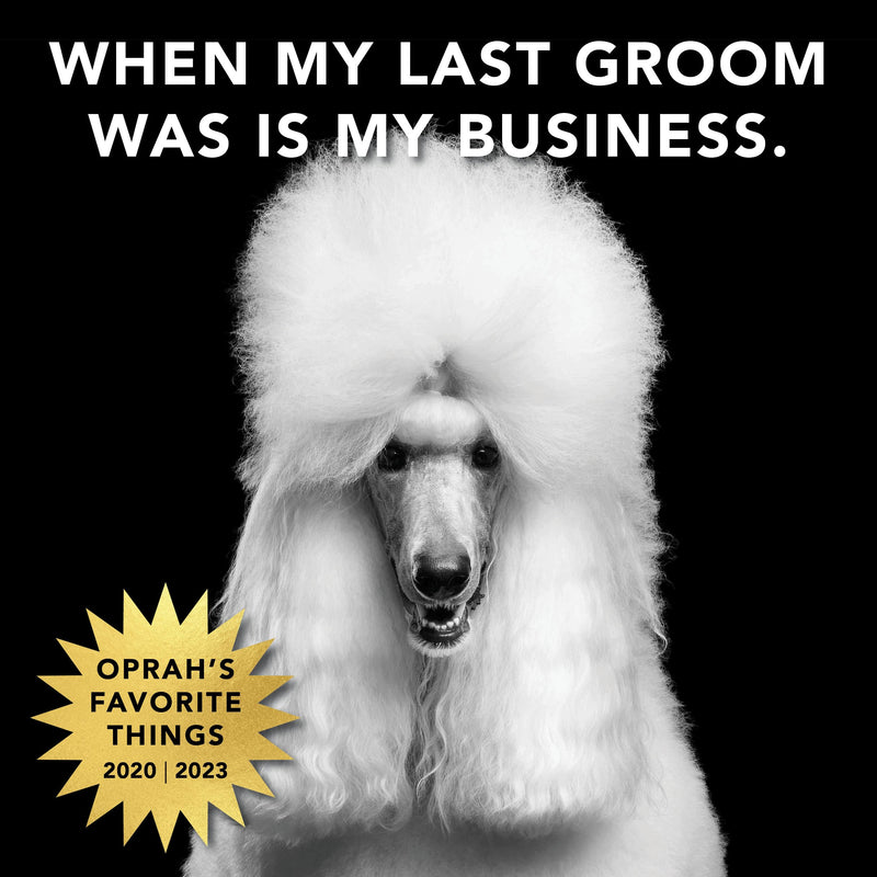 Pride and Groom The Mane Tame Waterless Dog Shampoo – Foaming Dry Shampoo for Dogs and Cats Made in USA for a Rinse Free Cleanse and to Eliminate Odor in Between Baths On-The-Go – 7.1 fl oz - PawsPlanet Australia