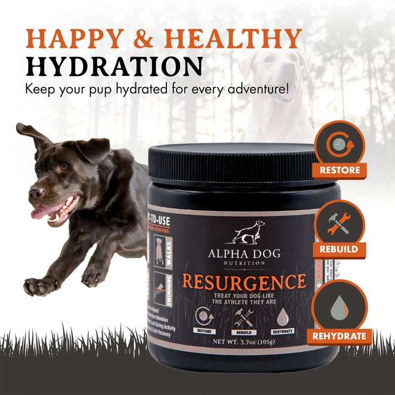 Resurgence Dog Electrolytes by Alpha Dog Nutrition | Promote Dog Hydration, Increase Stamina, and Boost Recovery | Electrolyte Water Additive or Food Topper to Prevent Dehydration with Beef Flavoring - PawsPlanet Australia