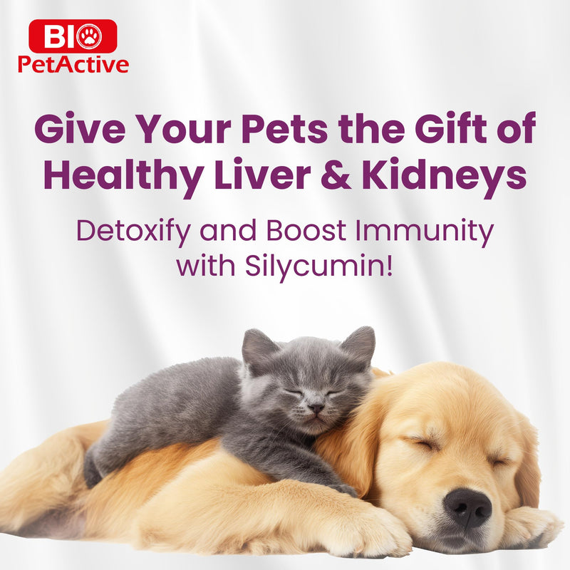 Bio PetActive Silycumin Milk Thistle & Turmeric Supplement for Cats & Small Breed Dogs - Advanced Liver & Kidney Support with Silymarin and Curcumin, Detox & Antioxidant Formula - 100 Chewable Tablets