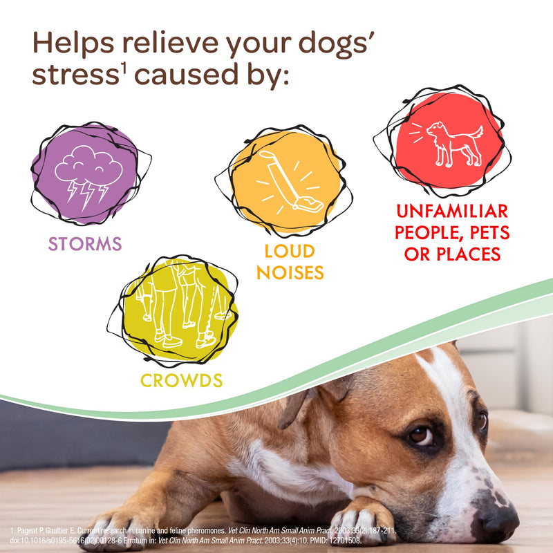 Virbac ZENIDOG Gel Diffuser - Dog Calming Pheromone Diffuser for Stress Relief No Electricity Required and Lasts up to 2 Months - PawsPlanet Australia