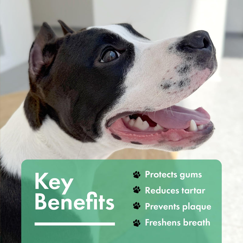 Dog Dental Powder – Dog Breath Freshener – Pet Dental Powder – Plaque and Tartar Remover for Dogs – Natural Dog Teeth Cleaning for All Breeds and Sizes – Oral Care Supplement for Pets 4.09oz