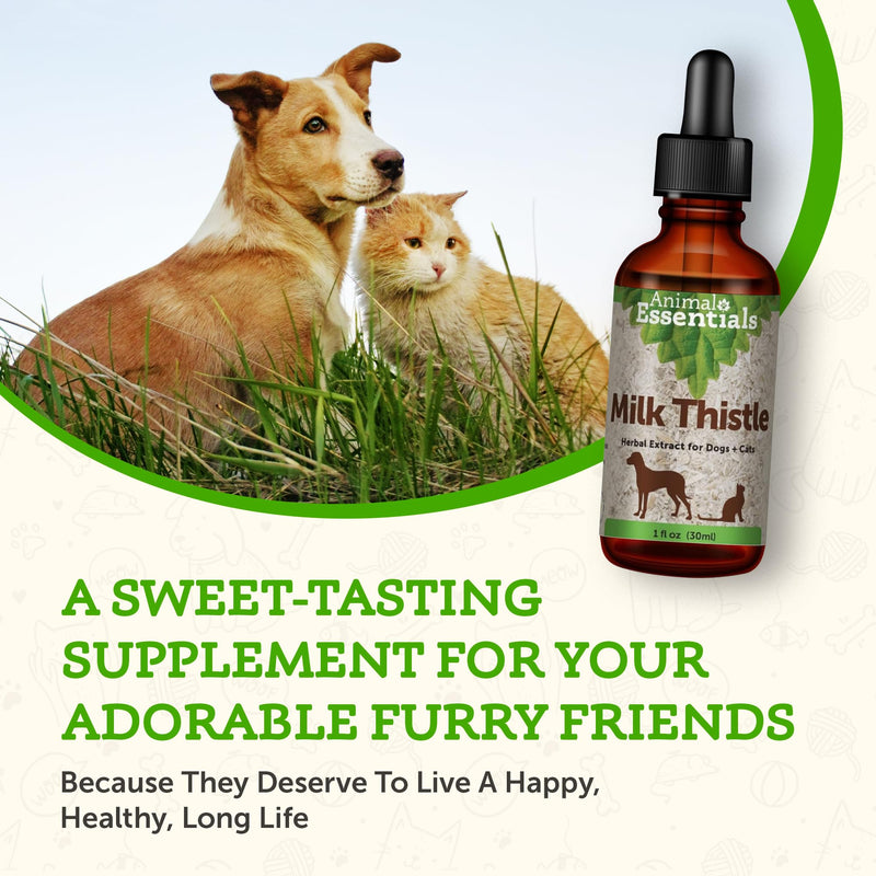 Animal Essentials Milk Thistle for Dogs & Cats - Liver Health Support, Herbal Extract, Liver Care Supplement, Organic Liquid Drops - 1 FL Oz 1 fl oz (30ml) - PawsPlanet Australia