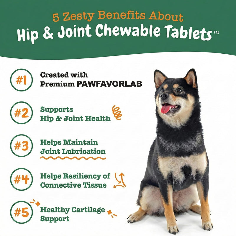 Hip & Joint Supplement for Dogs - Glucosamine, Chondroitin, MSM, Green Lipped Mussels & Turmeric - Natural Arthritis Pain Relief & Mobility Support for All Ages - 200 Soft Chews