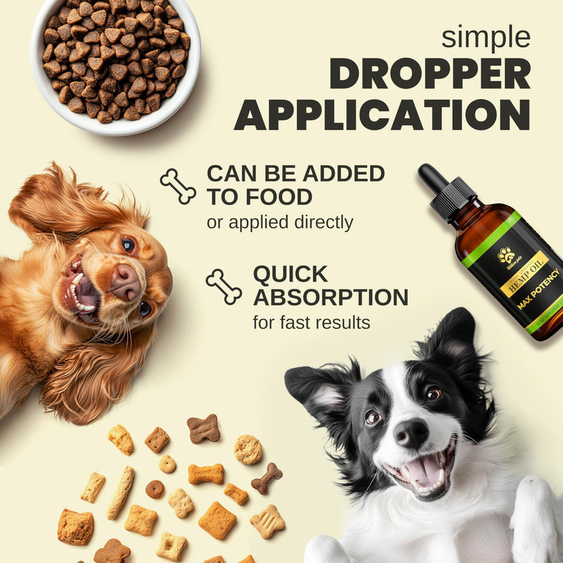 Billion Pets - Hemp Oil for Dogs and Cats - Helps with Anxiety, Pain, Stress, Sleep, Arthritis, Seizures Relief - Hip and Joint Support - Calming Drops 2 Pack