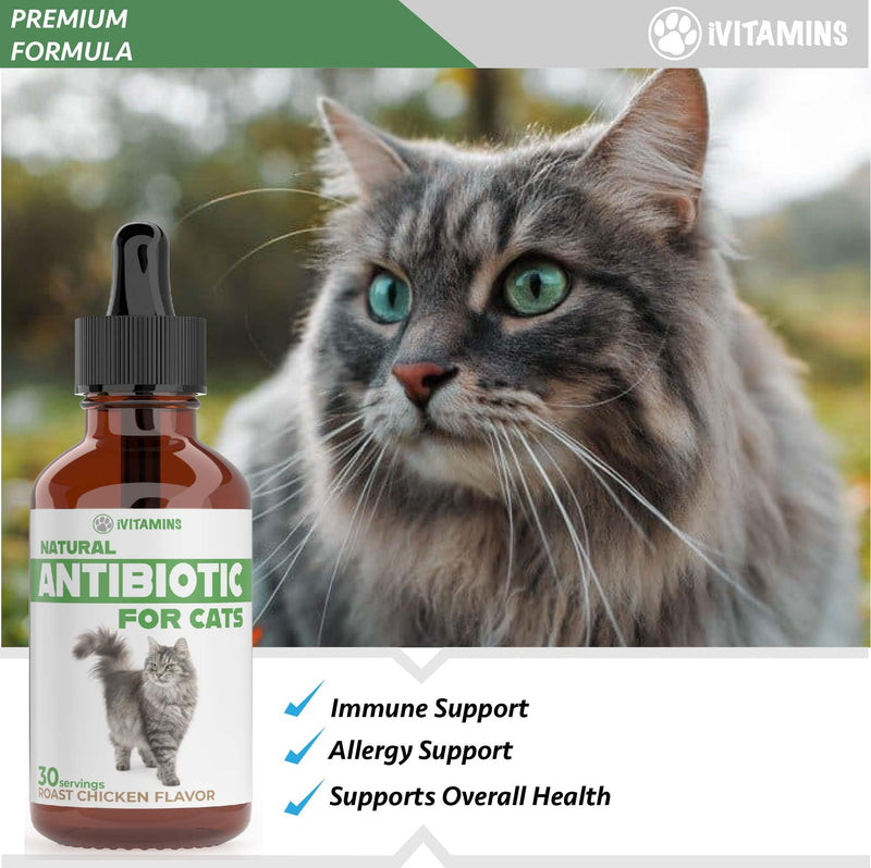 Natural Alternative Cat Antibiotic | Cat Antibiotics | Antibiotics for Cats | Antibiotic for Cats | Cat Antibiotics for UTI | Cat UTI | Cat UTI Treatment | Cat UTI Antibiotics | 1 fl oz (1)