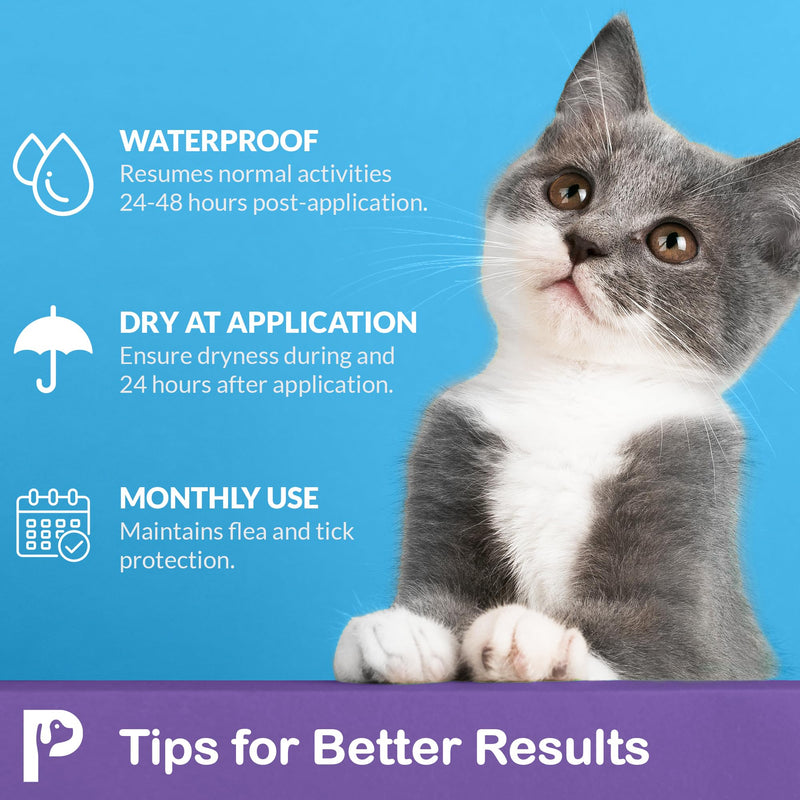 Topical Flea and Tick for Cats & Kittens: Waterproof Topical Cat Flea and Tick – Fast-Acting & Long - Lasting at Home Control for Cats Over 1.5 lbs and 8 Weeks or Older – 6-Dose Supply