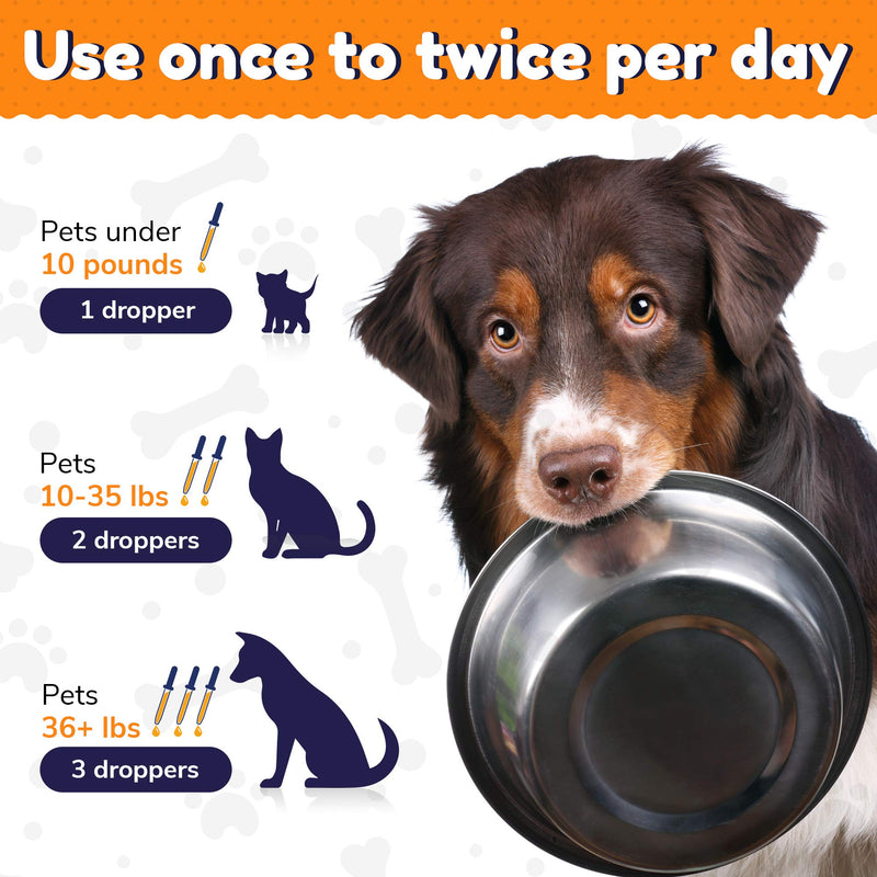 Probiotics for Dogs - Cat Probiotic - Great Dog Probiotics and Digestive Enzymes for Pet - Dog Digestive Enzymes & High Quality Prebiotic - Canine Probiotic - Probiotics for Cats - Puppy Probiotic - PawsPlanet Australia