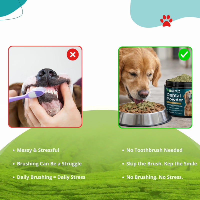 Dog Dental Powder - Plaque & Tartar Support - Fresh Breath & Oral Health - Natural Brown Algae Formula - 30-Day Supply (150g)