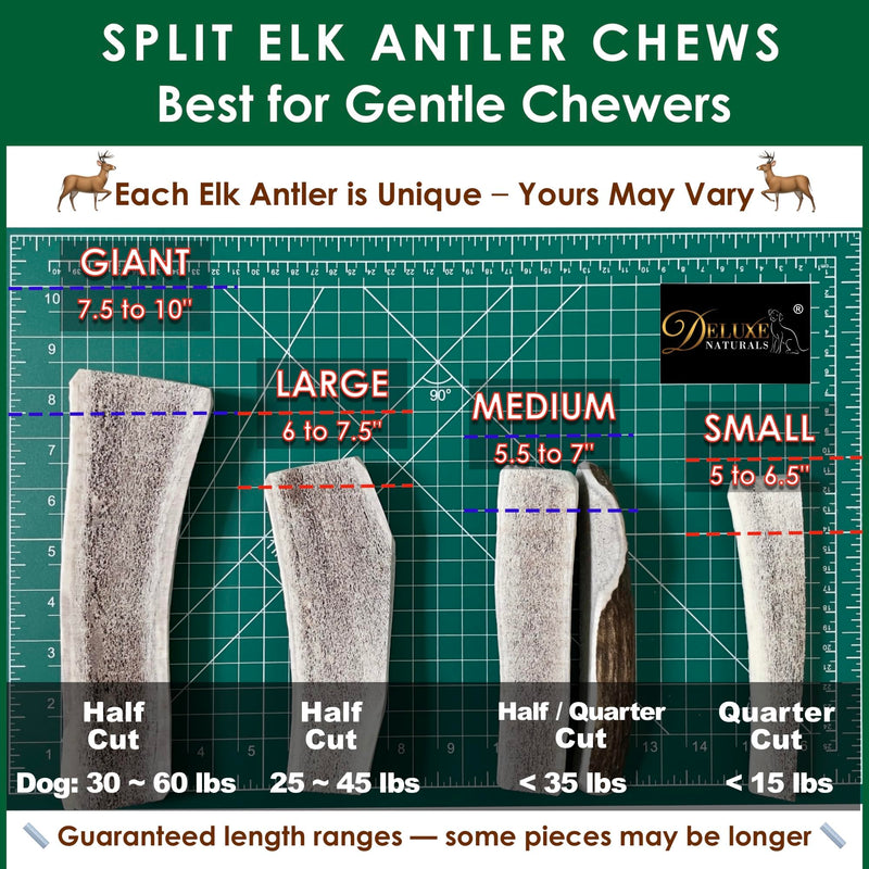 4 Medium Split Elk Antler Dog Chews and Omega 3 Fish Oil Bundle for Dogs Supporting Chewing Coat and Joint Health