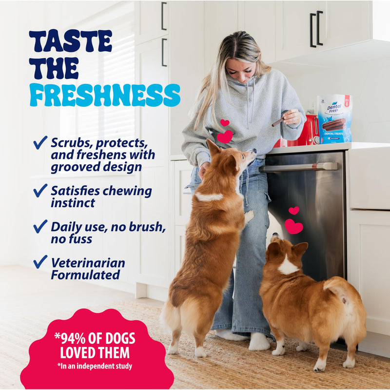 Dental Fresh Dental Treats for Medium Dogs, Vet-Formulated Teeth Cleaning Dental Sticks to Help Reduce Plaque and Tartar and Freshen Breath, 26 Count Brush Free Dental Chews for Dogs 26 to 49 lbs