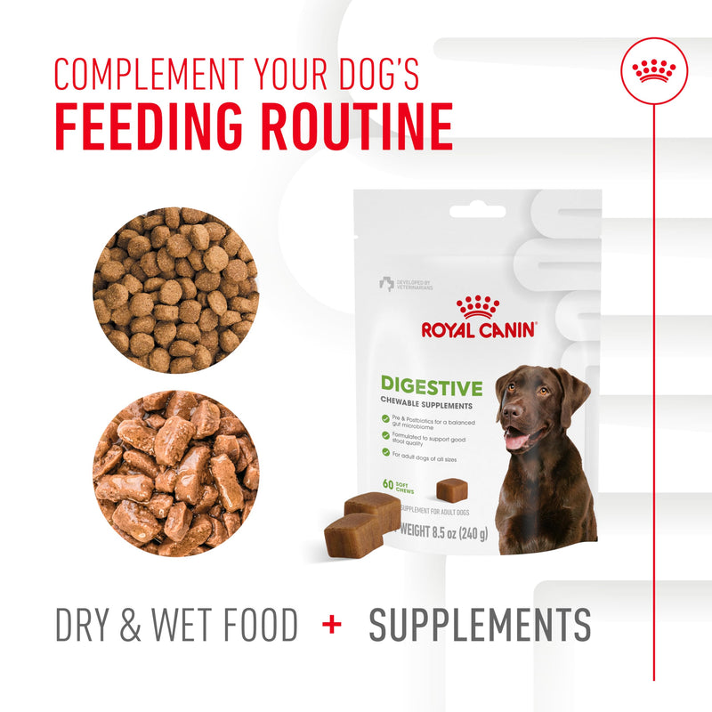 Royal Canin Digestive Dog Supplement Soft Chews for Adult Dogs, 60 Count Adult: Digestion 8.47 Oz