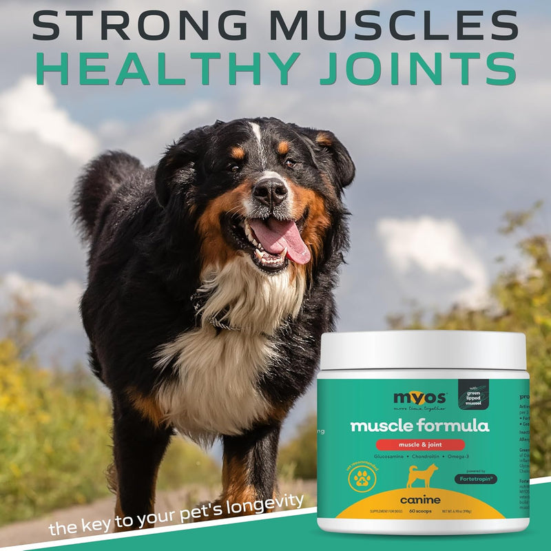 MYOS Muscle & Joint – All Natural Canine Joint Health Supplement Powered by Fortetropin with Green Lipped Mussel – Reduce Muscle Loss, Boost Joint Mobility & Improve Recovery and Reduce Inflammation - NewNest Australia