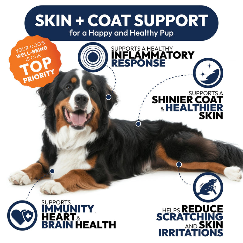 Omega 3 Fish Oil for Dogs - 170 Chews - Omega 3 for Dogs Itchy Skin & Allergy Relief - Skin & Coat Supplement - EPA & DHA Fatty Acids - Dog Anti Shedding & Hot Spot Treatment - Salmon Oil