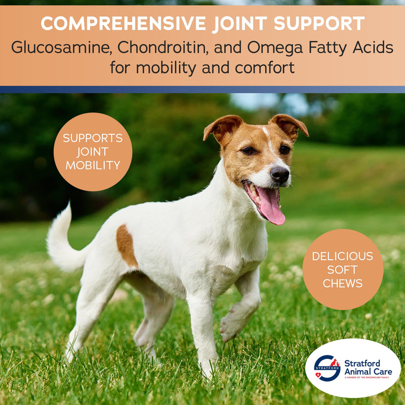 Stratford Pharmaceuticals Joint Support Minis Soft Chews for Small Dogs w/ Glucosamine Chondroitin MSM, Joint and Hip Pain Relief, 60 Count - PawsPlanet Australia