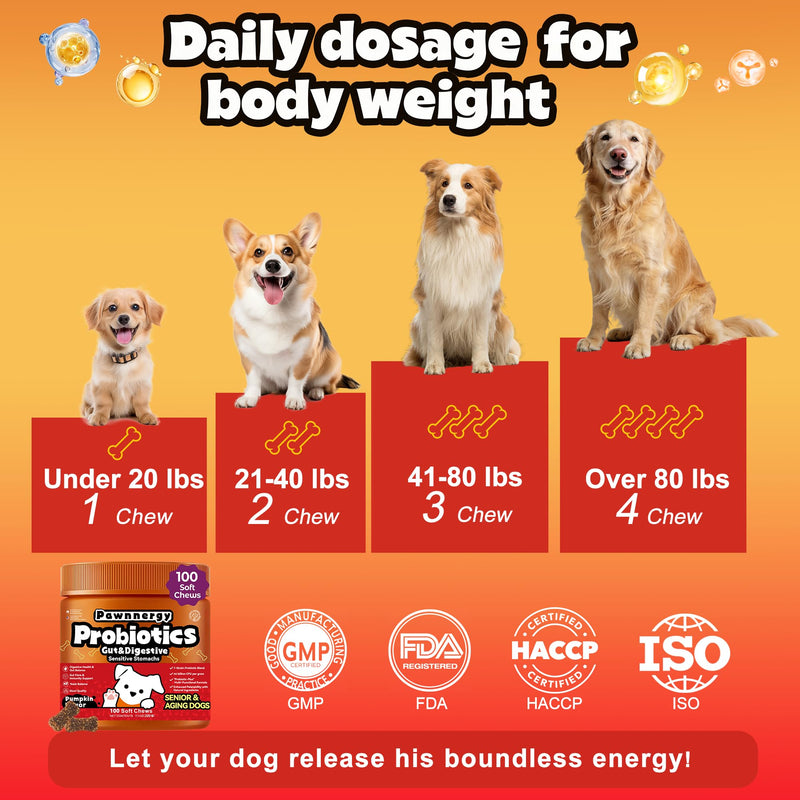 Probiotics for Dogs - Improve Gut Health, Digestive, Immunity, Yeast Balance, Solid Stool - with Prebiotics - Reduce Diarrhea, Gas, Bad Breath, Constipation, Allergy - Ideal for Senior Dogs (5+ Years)