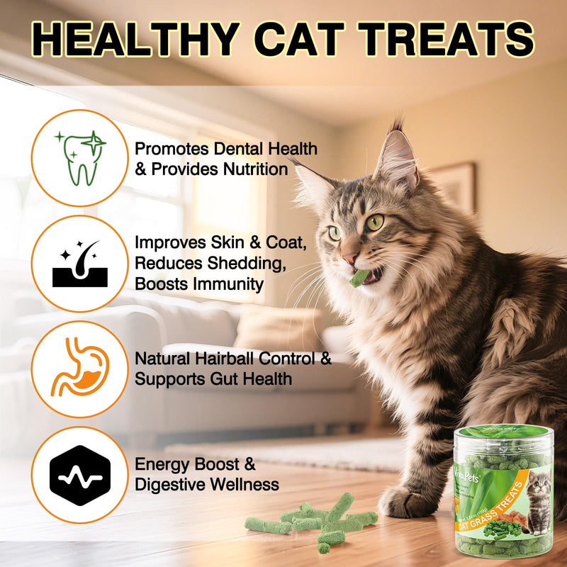 3.53oz Freeze-Dried Cat Grass Treats with Chicken & Egg Yolk - Natural Cat Grass Teething Sticks for Hairball Control & Dental Care - High Protein, Grain Free Snacks for Indoor Cats 3.53 Ounce (Pack of 1)