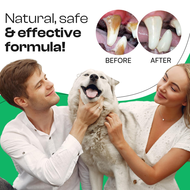Dog Breath Freshener Spray, Pet Oral Care Spray for Dogs & Cats with Chamomile & Mint, Helps Support Gums, Natural Ingredients Based Dog Bad Breath Solution, 6.7 oz