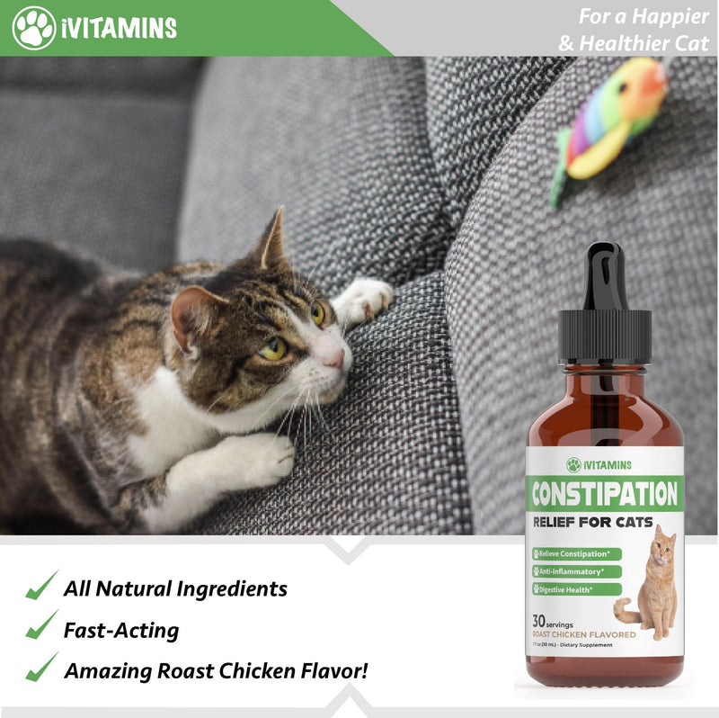 Cat Constipation Relief - Cat Laxative - Cat Laxative Constipation Relief - Constipation Relief for Cats -Constipation Relief for Cat - Cat Constipation - 1 fl oz - PawsPlanet Australia