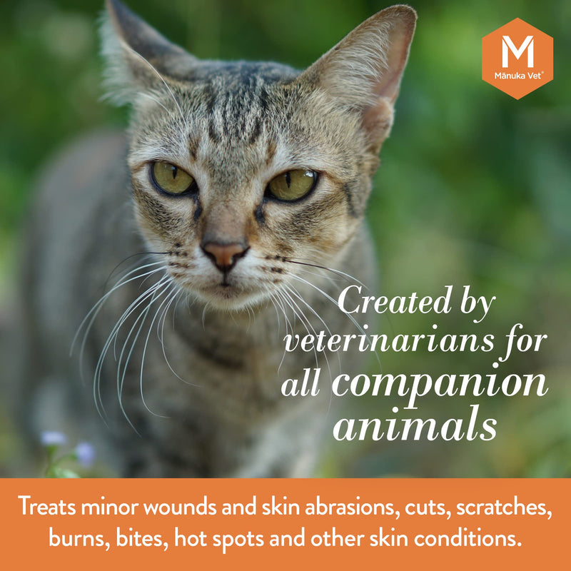 Manuka Vet Skin & Wound Gel, 500+ MGO Medical Grade Manuka Honey, Rapid Healing & Skin Repair Treatment for Dogs, Horses and Cats, 0.71oz (20g) Tube Small Tube 0.71 oz - PawsPlanet Australia