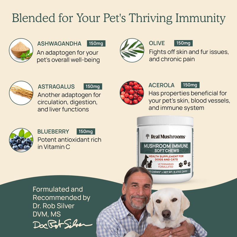 Mushroom Immune Support Pet Chews 60ct Treats for Dogs Booster Supplements Pets with Ashwagandha, Astragalus, Blueberry, Olive Leaf, Acerola Gut Health and Cats - PawsPlanet Australia