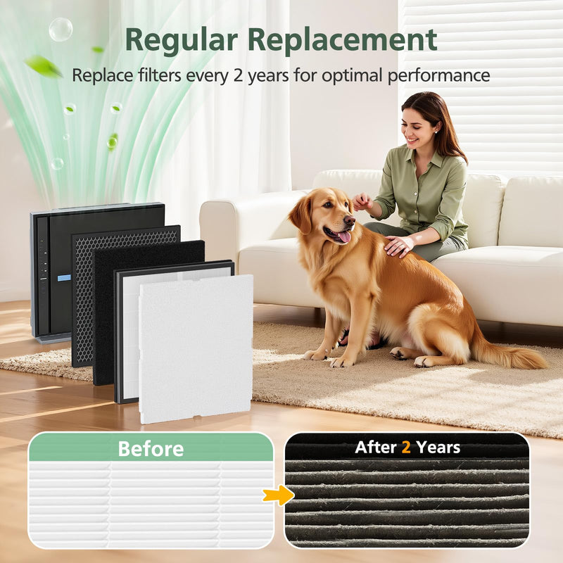 4 Pack MinusA2 Filter Replacement Kit Compatible with MinusA2