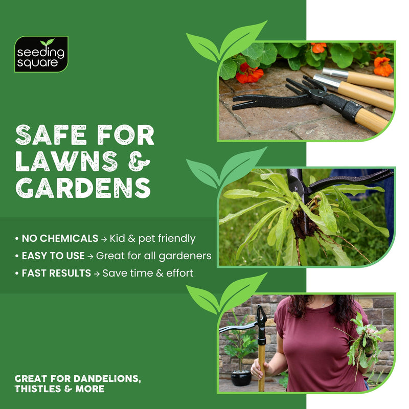 Seeding Square The Weed Gobbler Carbon Steel & Bamboo Stand-Up Weed Puller Tool for Dandelions and Single-Root Weeds – Ergonomic Lawn Weeder for Back-Friendly Weed Removal