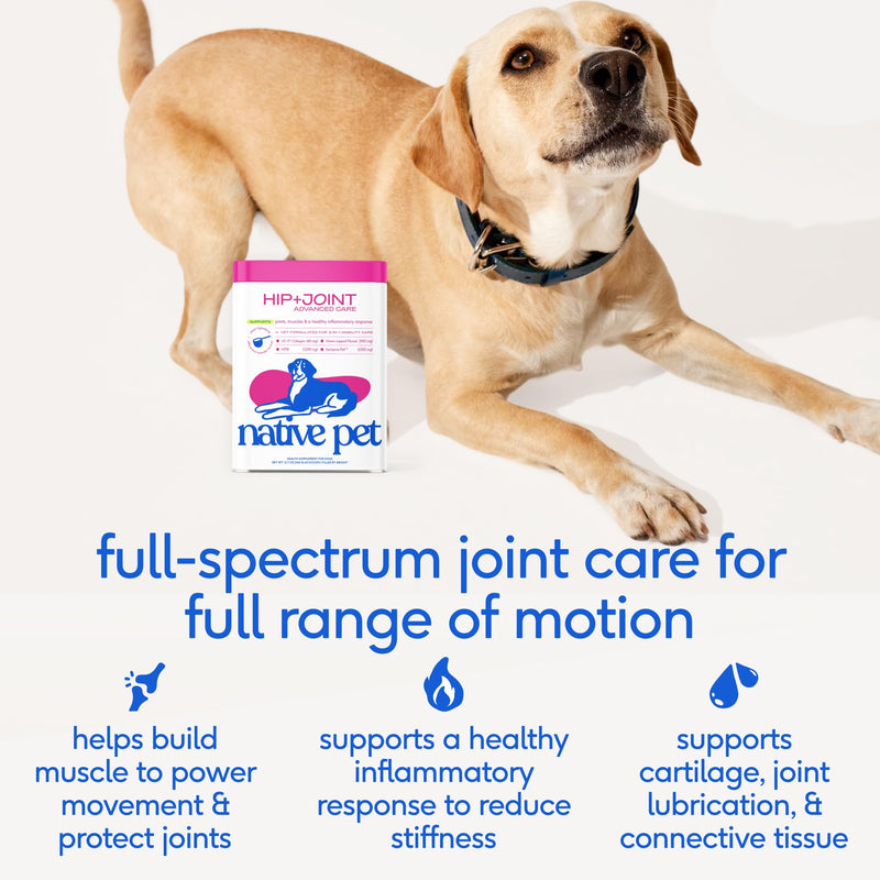 Native Pet Oral & Joint Health Bundle: Hip & Joint Supplement for Dogs - Supports Cartilage, Muscles & Anti-Inflammatory & GutWell Clean Breath - Dog Breath Freshener - 60 Scoops