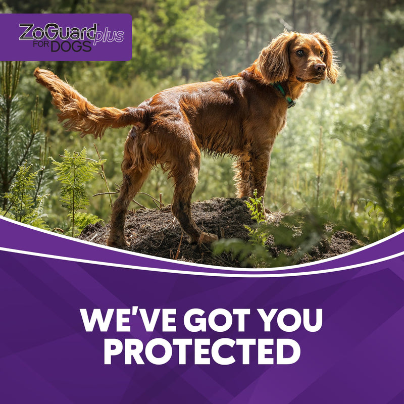 ZoGuard Plus Flea and Tick Prevention for Medium Dogs – Flea & Tick Prevention for Dogs 23-44lbs 6 Month Supply, Pack of 2