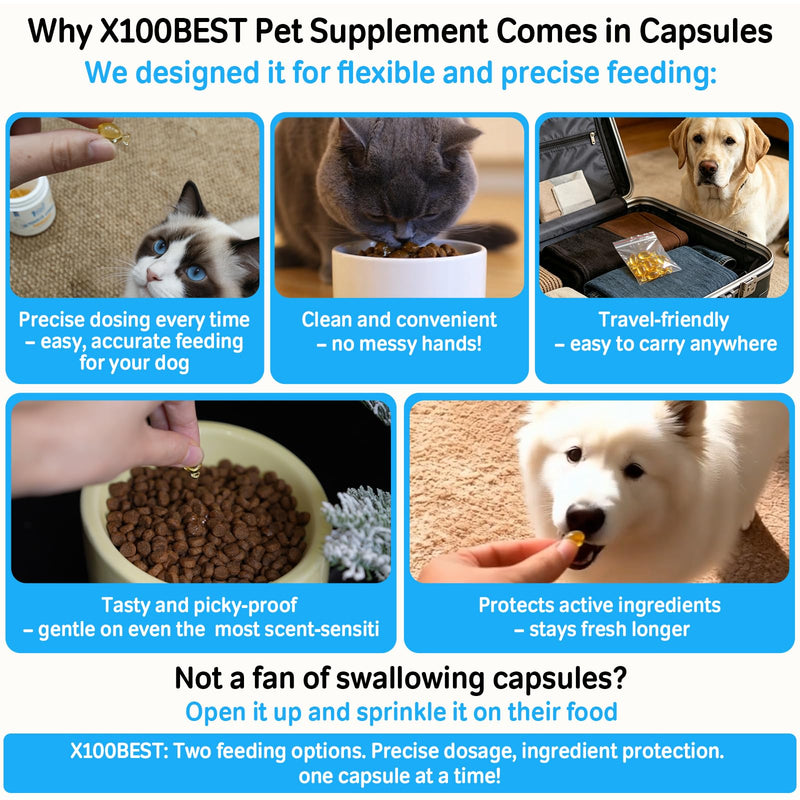 Omega-3 Fish Oil for Dogs & Cats - 95% High Purity rTG with Phytosqualene - Rich in EPA & DHA - Supports Skin Allergy & Itch Relief, Joint & Heart Health - Made in USA - 100 Softgels