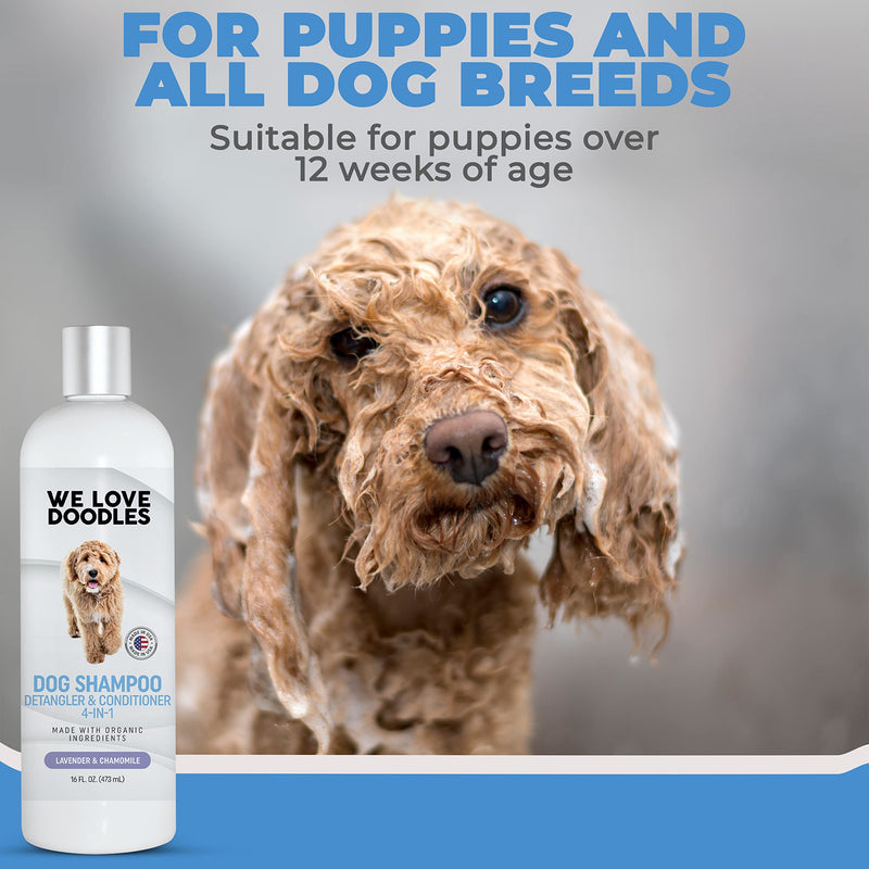 We Love Doodles Puppy Shampoo (Lavender) & 4-in-1 Shampoo (Lavender) Bundle - Puppy Shampoo and Conditioner & 4-in-1 Shampoo Kit - Tear Free & Best Smelling - Made in USA - PawsPlanet Australia