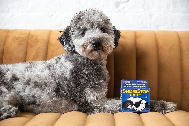 SnoreStop for Pets 20 Chewable Tablets I Natural Anti-Snoring Solution I Snore Relief for Dogs Cats I Stop Snoring Aid I Sleep Remedy I Device Free I Helps Stop Snores I Anti-Snore Aid