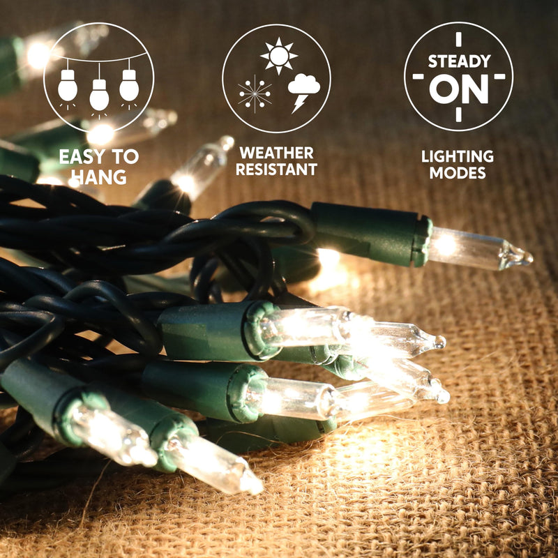 Joiedomi Clear Christmas String Lights Indoor,100 Count Mini Warm White Fairy Light,21.5FT Lighting Decor for Patio Dorm Classroom Bedroom Holiday Wedding Party Garland Birthday Festival,Green Wire 100ct