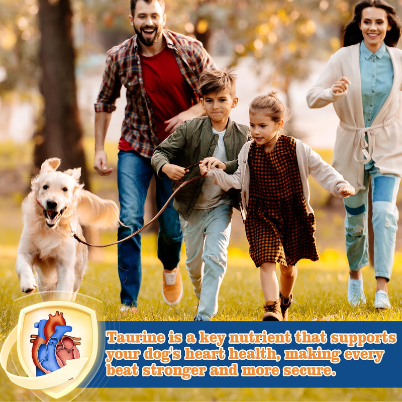 Taurine for Dogs Heart Health Supplement, 500mg Taurine with L-Carnitine for Senior & Large Breed Dogs, Supports Healthy Heart Function, Energy & Normal Blood Flow - 4oz