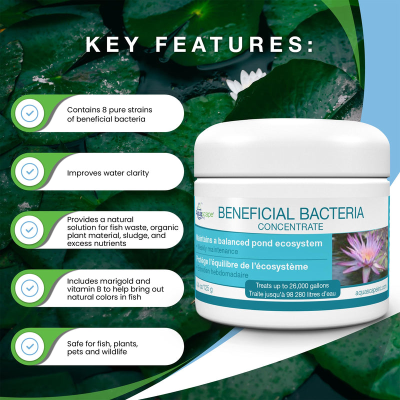 Aquascape Dry Beneficial Bacteria for Pond and Water Features, 4.4-Ounce | 98925,White 0.28 lb