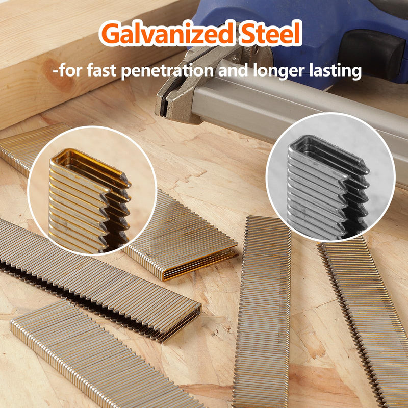 1000-Count 1/2 Inch Length, 18 Gauge 1/4 Inch Narrow Crown Staples, Heavy Duty Beveled Chiseled Pointed Galvanized Staples, for Pneumatic, Electric 18GA Stapler Gun 1/2"