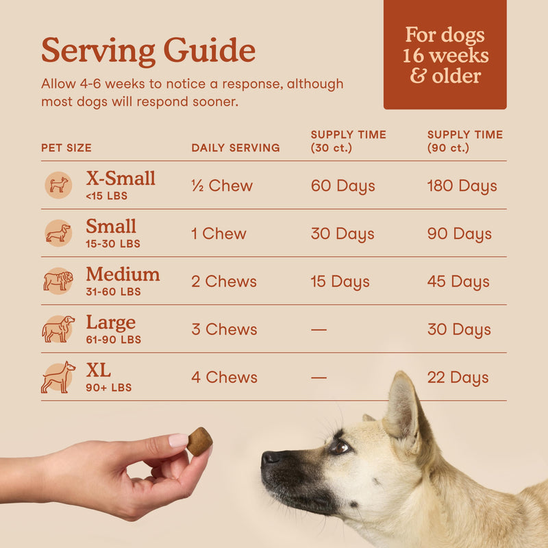 Fera Pets Probiotics for Dogs with Prebiotics and Postbiotics - Full Spectrum Gut Health Support - Promotes a Balanced Gut Microbiome - Boosts Immune Health - 90 Soft Chews 90 Chews
