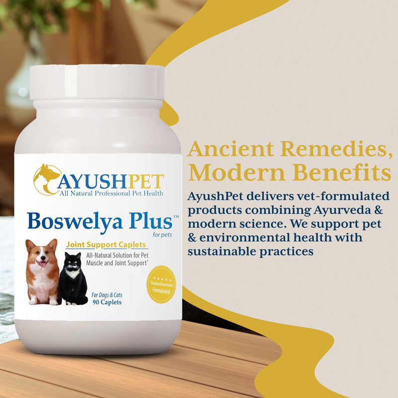 Ayush Pet Boswelya Plus, Joint and Muscle Support for Pets, Ayurvedic Pet Supplement with Boswellia, Ginger, and Bromelain, Large or Small Animals, 90 Vegetarian Caplets - PawsPlanet Australia