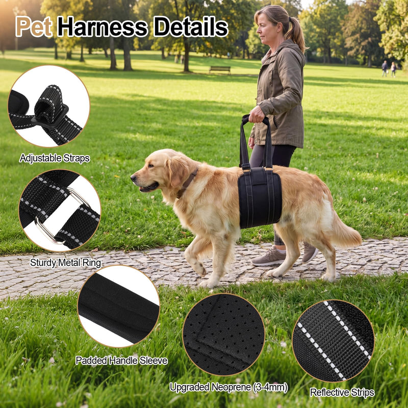 Adjustable Dog Lift Harness Portable Breathable Soft Dog Sling for Back Legs Support Rehab Harness for Summer Weak Rear Legs Senior Injured Disabled After Acl Surgery Pooch(Medium) M