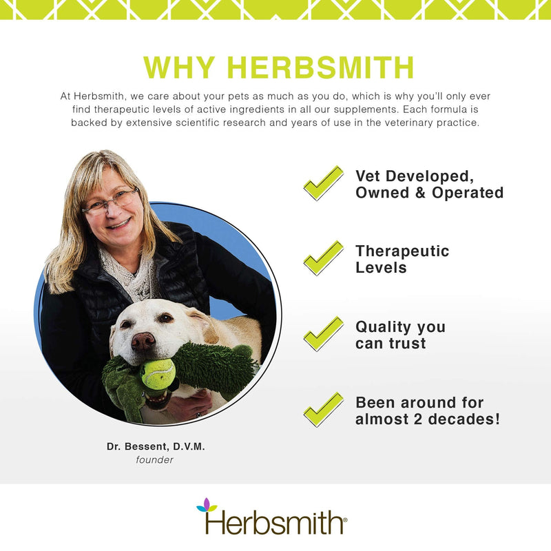 Herbsmith Glimmer - Dog Healthy Skin and Coat + Dog Treatment for Dry Itchy Skin - Omega-3 Supplement for Dogs - 60ct Small Chews 60Ct Small Chews (for dogs under 30Lbs) - PawsPlanet Australia
