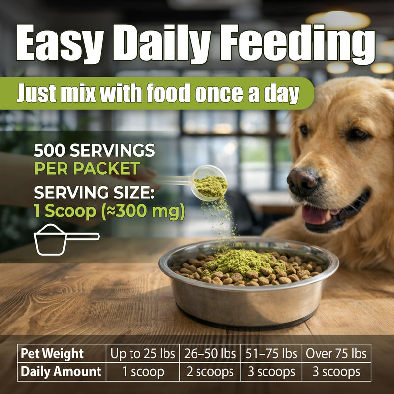 Premium Green Lipped Mussels for Dogs and Cats 100% Pure New Zealand Natural Supplements Vitamins to help your Pet for Hip and Joint Flexibility, Mobility, Strength, Tendons and Muscles (2.64, Ounces) 2.64 Ounces