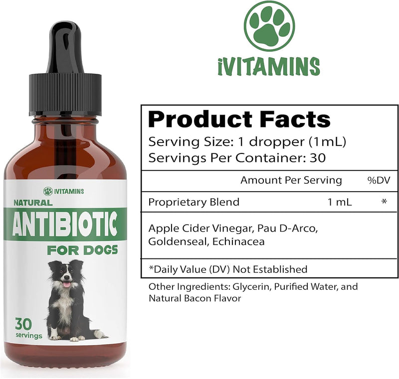 Natural Antibiotics for Dogs | 60ML Dog Antibiotic Support Dog Itchy Skin Relief | Dog Allergy Relief | Dog Immune Support | Dog Antibiotics for Skin Infection, UTI, Yeast Infection | 2 fl oz, Bacon - PawsPlanet Australia