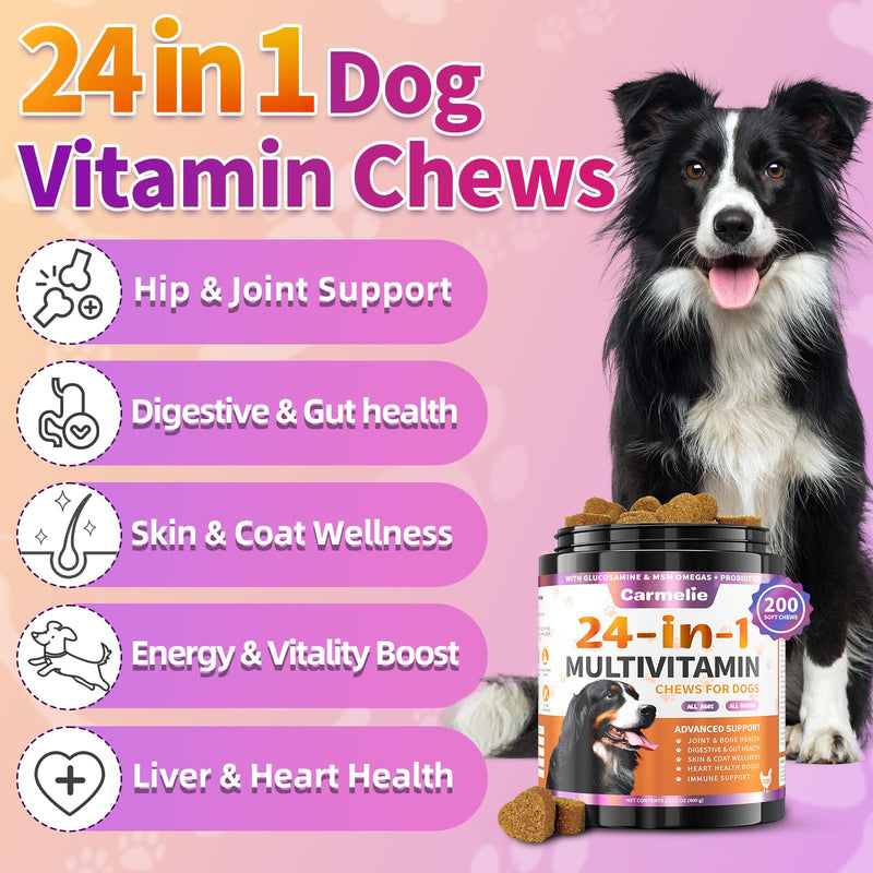 Carmelie Dog Vitamins, 24 in 1 Dog Vitamins and Supplements, 200 Chews with Glucosamine Probiotics Omega-3 Puppy Multivitamins Chewable for Hip & Joint, Skin & Coat, Immune Health, Digestive (Chicken)