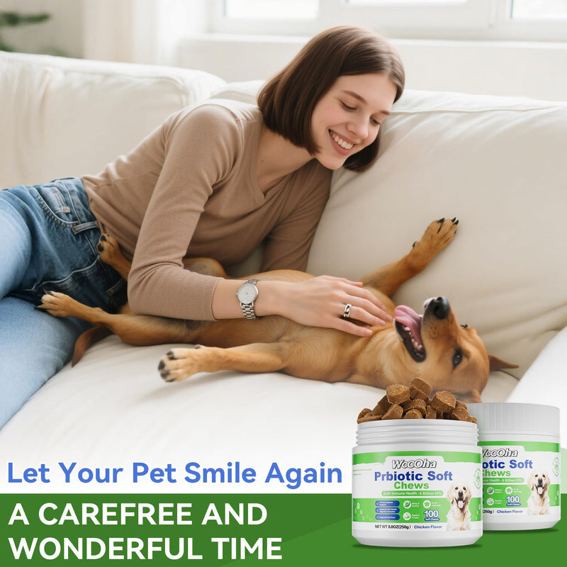 Probiotics for Dogs, Dog Probiotics for Gut Health, Digestive Support, Itchy Skin, Gas & Diarrhea Relief, Dog Probiotic with 6 Billion CFU Prebiotics & Digestive Enzymes, 100 Chews