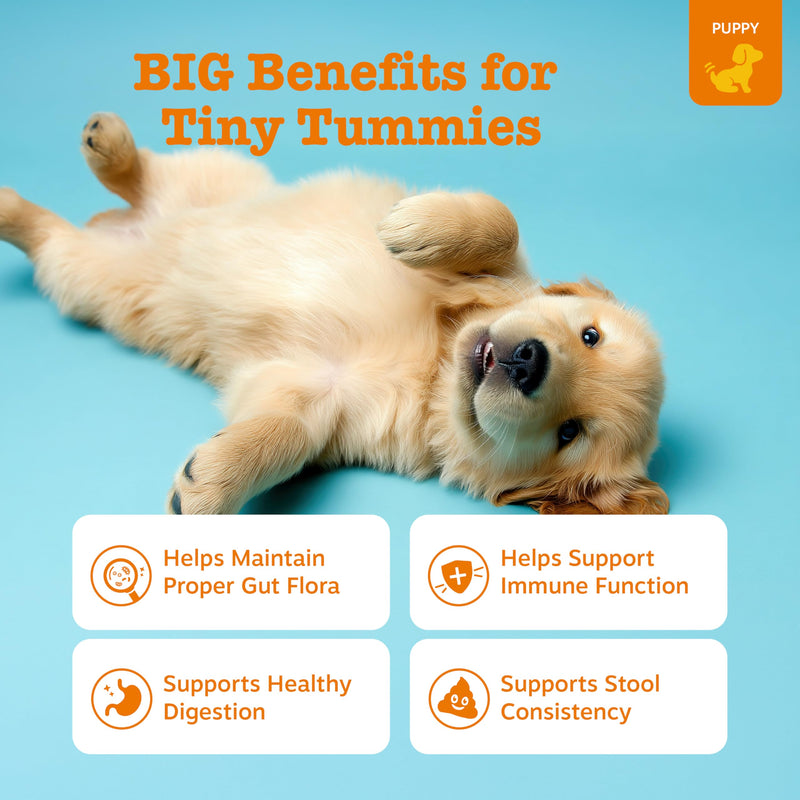 Zesty Paws Puppy Probiotics for Dogs - for Digestive Health, Gut Flora & Immune System Support - Dog Probiotics for Puppies with Bacillus subtilis & Pumpkin - 90 Count Pumpkin - Puppy