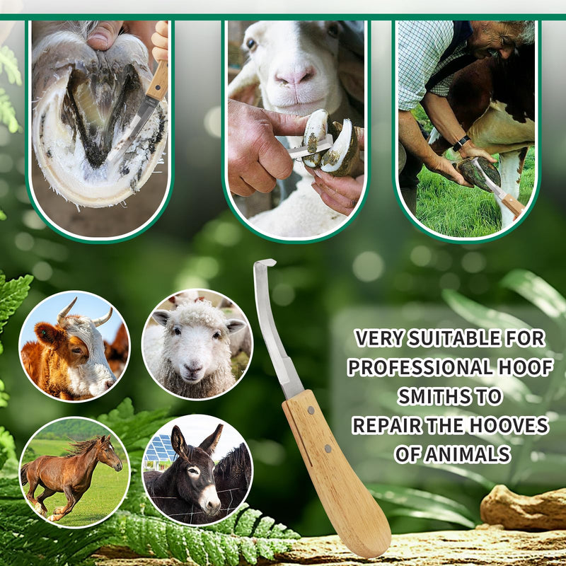 2PCS Stainless Steel Double Edged Hoof Knive with Wooden Handle, Stainless Steel Blade Suitable Hoof Knife for Horses The Toes of Horses, Cows, and Sheep, Repair Knives for Hoof Maintenance - PawsPlanet Australia
