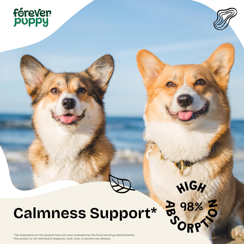 Calming Drops for Male Dogs - Pure Ashwagandha & Passion Flower Extract for Composure - Liquid Relaxing & Mood Support Supplement for Dogs of All Breeds & Sizes - 2 oz 2 fl oz - PawsPlanet Australia