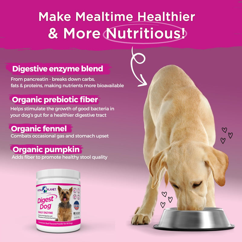 Vital Planet - Digest Dog Digestive Pancreatic Enzyme Blend with Pumpkin and Fennel to Support The Pancreas and Healthy Digestion with Pancreatin, Beef Flavored Powder for Dogs - 111 Grams 30 Scoops - PawsPlanet Australia
