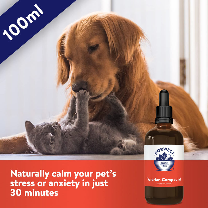 Dorwest Valerian Compound for Dogs and Cats, 100ml & Scullcap & Valerian Calming Tablets for Dogs and Cats, 200 Tablets, Non-Drowsy, Light Yellow Tablet, 14DOR017 + Scullcap & Valerian - PawsPlanet Australia