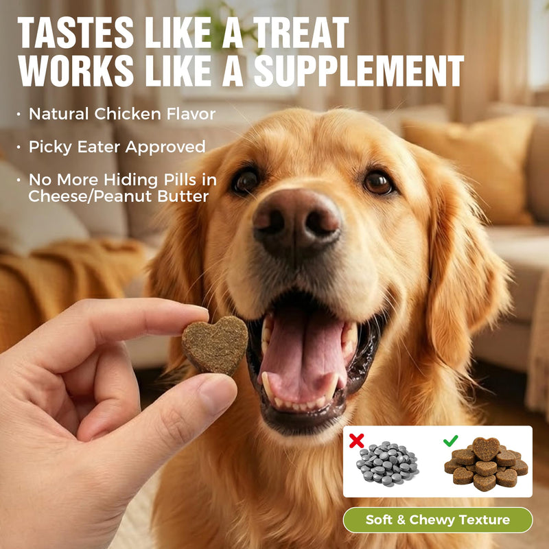 Probiotics for Dogs 2 Billion CFU - 6 Strains with Bacillus Subtilis - Soft Chews for Dog Diarrhea, Gas, Bad Breath & Itchy Skin - Digestive & Immune Support