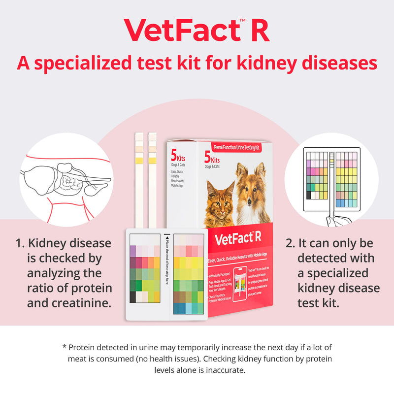 [5 Kits] Free Mobile App Urine Test Strips for Dogs & Cats, Cat & Dog Kidney Function Test (Protein to Creatinine Ratio Test) at Home, Easy-to- Use ; Support English, Spanish, Korean, and Japanese 5 Count (Pack of 1)